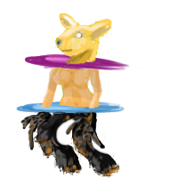 Le lapin