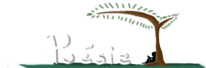 image rubrique